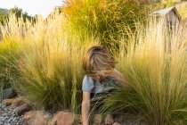 4 year old boy playing in tall grass at sunset — Stock Photo