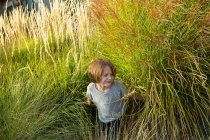 4 anno vecchio ragazzo giocare in alto erba a tramonto — Foto stock