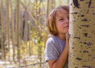 Portrait of 4 year old boy hiding behind aspen tree — Stock Photo
