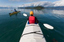 A small group of people kayaks in pristine waters of an inlet on the Alaska coastline. — Stock Photo
