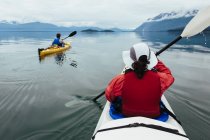 Um pequeno grupo de kayakers-do-mar remar águas cristalinas de Muir Inlet no Parque Nacional Glacier Bay, Alasca — Fotografia de Stock