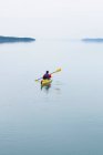 Женский морской каякер, гребучая чистая вода залива Мьюир, небо в пасмурном состоянии вдали, Национальный парк Ледниковый залив, Аляска — стоковое фото
