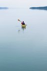 Самка морського каякера веслує незайманою водою 
