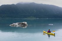Самка морского каякера, гребущая нетронутыми водами залива Мьюир, пасмурное небо вдали, Национальный парк Ледниковый залив, Аляска — стоковое фото