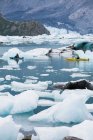 Sea kayakers paddling in glacial lagoon at a glacier terminus on the coast of Alaska — Stock Photo