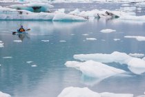 Морські каякери пливуть льодовиковою лагуною на кінці льодовика на узбережжі Аляски. — стокове фото