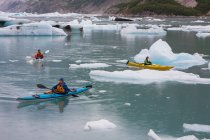Kayakers do mar remando na lagoa glacial em um terminal da geleira na costa de Alaska — Fotografia de Stock
