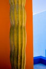 Nahaufnahme der Kakteenpflanze vor einer orangefarbenen Wand — Stockfoto