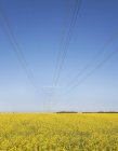 Transmission Towers and Power Lines — Stock Photo