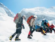 Grupo de excursionistas mochileros en sendero de montaña nevado - foto de stock