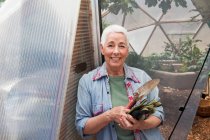 Sorridente donna anziana giardinaggio in una cupola geodetica, casa di vetro a clima controllato — Foto stock