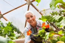 Улыбающаяся пожилая женщина садоводства в геодезическом куполе, стеклянный дом с климат-контролем — стоковое фото