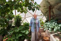 Lächelnde Seniorin beim Gärtnern in einer geodätischen Kuppel, klimatisiertem Glashaus — Stockfoto