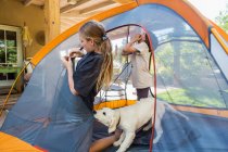 Teenage girl and her younger brother setting up a tent, a cute puppy tugging the tent fabric. — Stock Photo