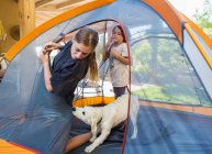Adolescente e seu irmão mais novo montando uma tenda, um filhote de cachorro bonito puxando o tecido da tenda. — Fotografia de Stock