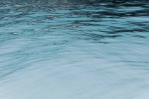 Imagem invertida de água calma de um lago de água doce, ondulações na superfície — Fotografia de Stock