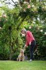 Donna in piedi in un giardino, giocando con il cerbiatto giovane Cavapoo. — Foto stock