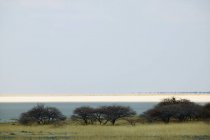 Vista sulle Saline Makadikadi in Botswana. — Foto stock