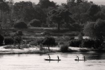 Locales que bajan por el río Zambezi en canoas mokoro tradicionales, Zambia. - foto de stock