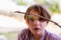 Siebenjähriger Junge blickt auf Gottesanbeterin — Stockfoto