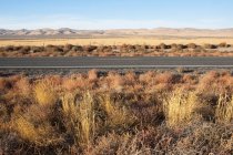 Autobahn durch flache Weite, Wüste mit Gestrüpp — Stockfoto