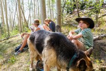 Famiglia a riposo nella foresta di alberi di Aspen — Foto stock