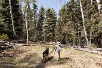 Ragazzo di sette anni che porta a spasso il suo cane nella foresta di alberi di Aspen — Foto stock