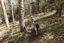 Seven year old boy walking his dog in forest of Aspen trees — Stock Photo