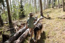 Ragazzo di sette anni a piedi i suoi cani nella foresta di alberi di Aspen — Foto stock