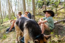 Семья отдыхает в лесу Аспенских деревьев — стоковое фото
