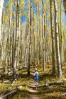 Giovane ragazzo a piedi sul sentiero natura aspen autunno — Foto stock