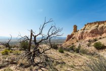 Скеля Чімні та гора, пам'ятка в заповідному каньйоні — стокове фото