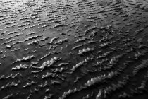 Areia de praia na maré baixa e padrões naturais de ondulação. — Fotografia de Stock
