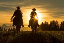 Deux cow-boys chevauchant au coucher du soleil à travers les prairies avec des montagnes derrière, Colombie-Britannique, Canada. — Photo de stock
