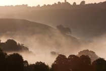 Утренний туман над долиной, полями и деревьями зимой — стоковое фото