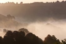 Brume matinale sur une vallée, des champs et des arbres en hiver — Photo de stock
