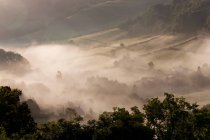 Ранковий туман над долиною, полями та деревами взимку — стокове фото