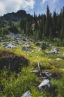 Грозовые тучи поднимаются над дальними горными хребтами и альпийскими лугами — стоковое фото