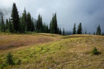 Storm clouds lifting over remote mountain range and alpine meadow, along the Pacific Crest Trail — Stock Photo