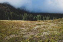 Nuages orageux s'élevant au-dessus d'une chaîne de montagnes isolée et d'une prairie alpine, le long du Pacific Crest Trail — Photo de stock