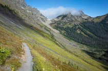 Blick auf den Pacific Crest Trail durch weite Alpentäler und Wiesen, Herbst — Stockfoto
