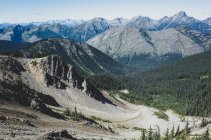 Blick auf die North Cascade Range vom abgelegenen Abschnitt des Pacific Crest Trail — Stockfoto