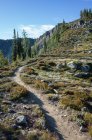 Sentiero escursionistico attraverso un vasto deserto alpino, lungo il Pacific Crest Trail — Foto stock