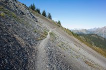 A steep hillside and forest on the Pacific Crest Trail — Stock Photo