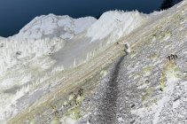 Hillside, camino y esquisto en el sendero de la cresta del Pacífico - foto de stock