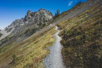 Sentiero su una collina sul Pacific Crest Trail — Foto stock