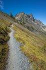 Path on a hillside on the Pacific Crest Trail — Stock Photo