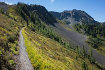 Sentiero su una collina sul Pacific Crest Trail — Foto stock
