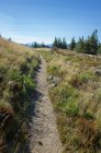 Weg durch alpine Wiesen in den Bergen auf dem Pacific Crest Trail — Stockfoto