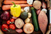 Box mit frischem Bio-Gemüse, Nahsicht — Stockfoto